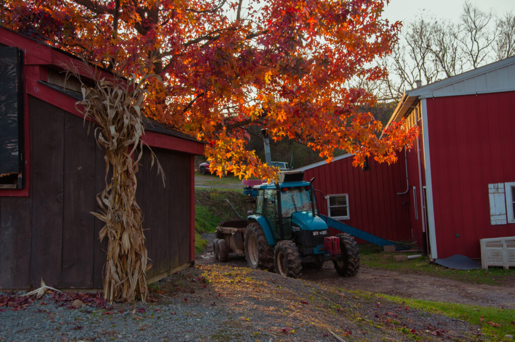 Fall Foliage at Soergel Orchards Farm with a tractor and trees around.