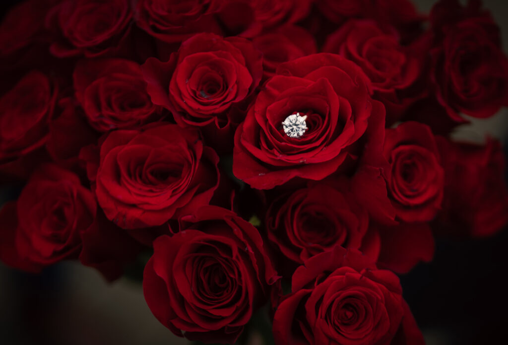 Engagement ring tucked inside a bouquet of red roses.