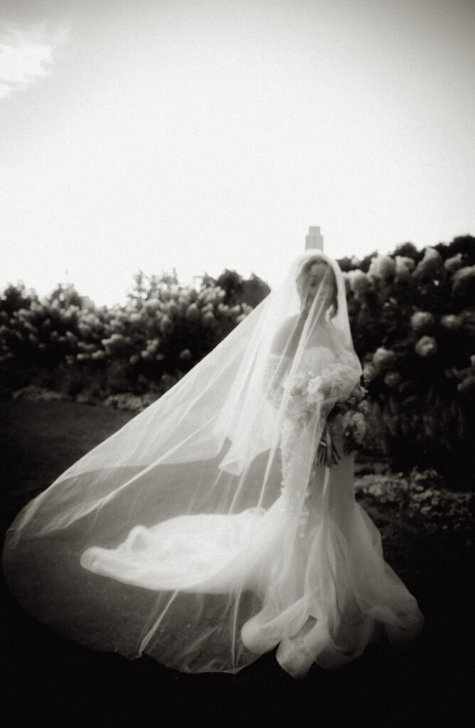 BW Bride with veil at Phipps Wedding