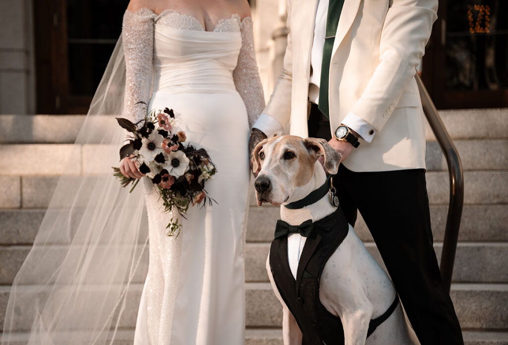 Bride and Groom with Dog at Pittsburgh Wedding