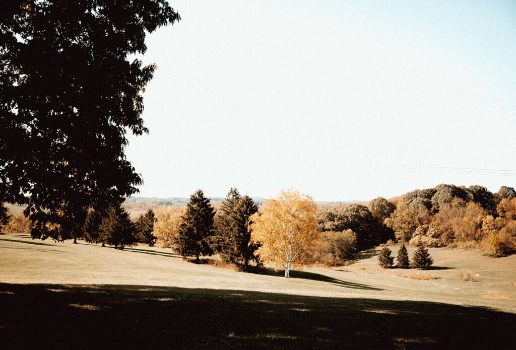 yinzer valley farms Field