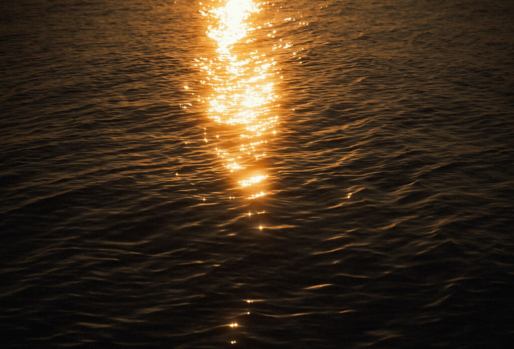 Sunset reflecting on Erie Lake during engagement