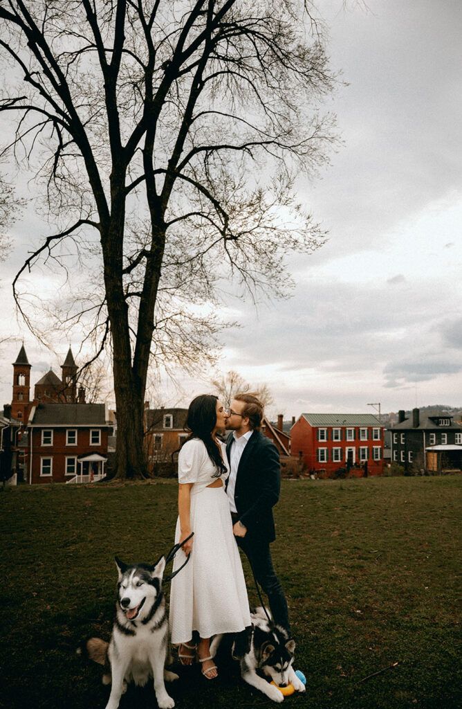 Warm documentary-style photo of couple kissing while holding their dogs’ leashes in an urban Pittsburgh setting.