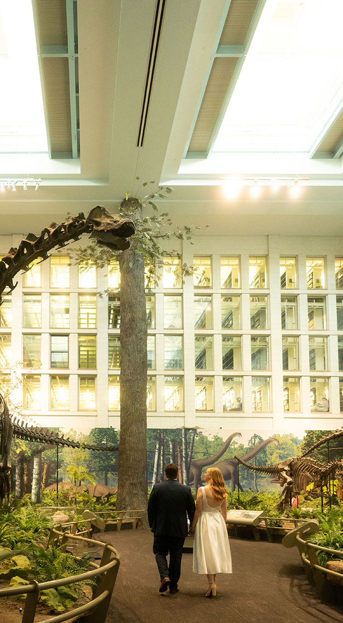 Engagement Couple Walk at Carnegie Museum of Natural History