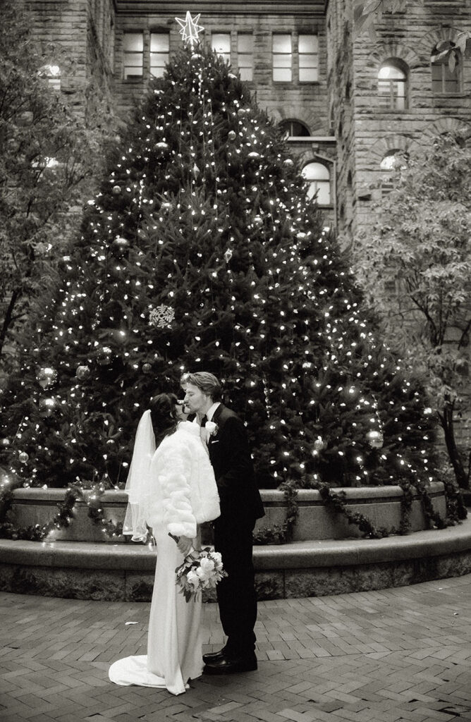 Bride wearing a white elegant winter coat next to the large natural Christmas tree in the courthouse patio.
