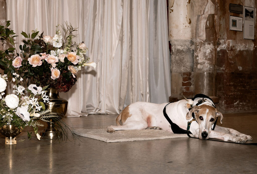 Wedding day moments with dog captured in documentary style at Pittsburgh venue